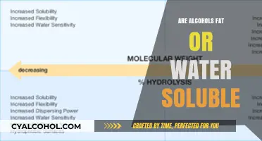 Are Alcohols Fat or Water Soluble? Understanding Chemical Solubility