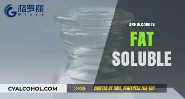Are Alcohols Fat Soluble? Exploring Solubility and Chemical Properties