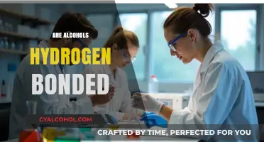 Understanding Hydrogen Bonding in Alcohols: Chemistry and Molecular Interactions