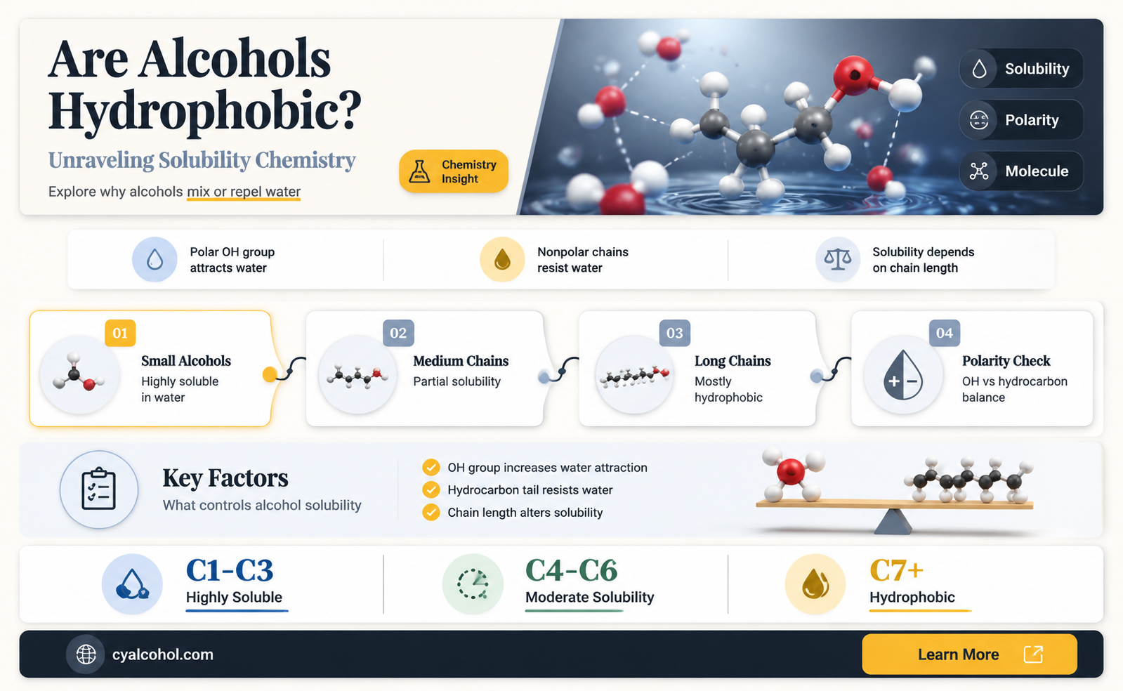 are alcohols hydrophobic