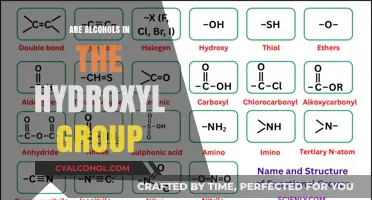 Understanding Hydroxyl Groups: Are Alcohols Always Present in Their Structure?