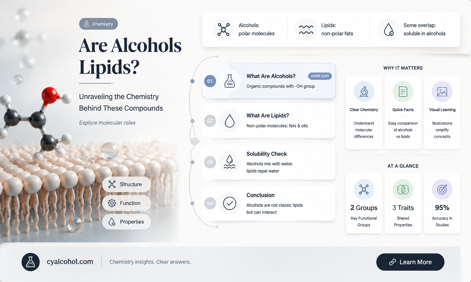 are alcohols lipids