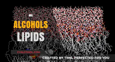 Are Alcohols Lipids? Unraveling the Chemistry Behind These Compounds