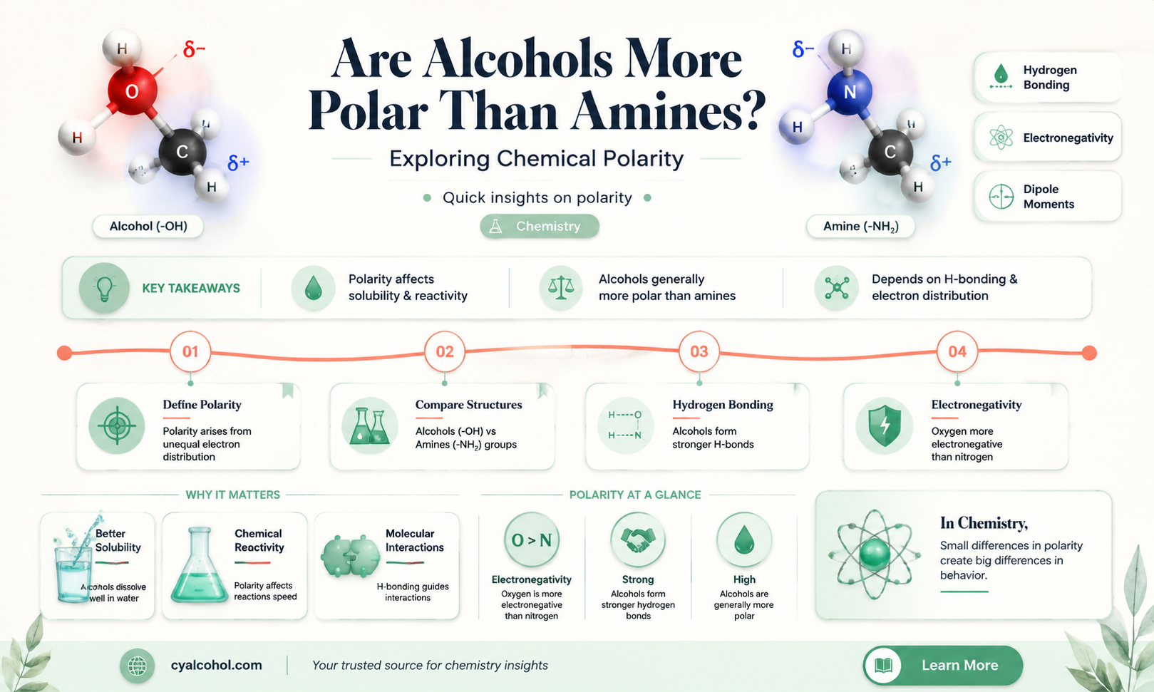 are alcohols more polar than amines
