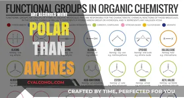 Are Alcohols More Polar Than Amines? Exploring Chemical Polarity