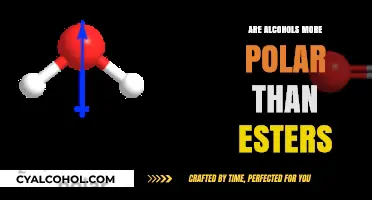 Are Alcohols More Polar Than Esters? Exploring Chemical Polarity