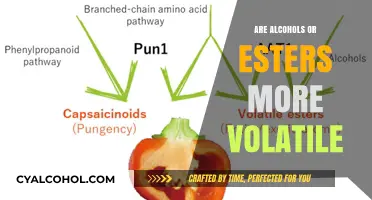 Alcohols vs. Esters: Unraveling Volatility Differences in Organic Compounds