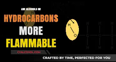 Alcohols vs. Hydrocarbons: Which Burns More Fiercely and Why?