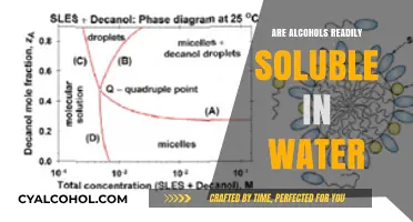 Are Alcohols Soluble in Water? Exploring Their Unique Chemistry