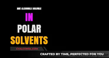 Exploring Alcohol Solubility: Polar Solvents and Their Interactions