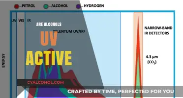 UV Absorption in Alcohols: Unveiling Their Spectroscopic Activity