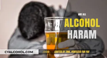 Is All Alcohol Haram? Exploring Islamic Teachings on Intoxicants