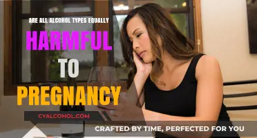 Pregnancy and Alcohol: Are All Types Equally Risky?