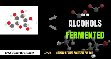 Are All Alcohols Fermented? Unraveling the Brewing and Distilling Mystery