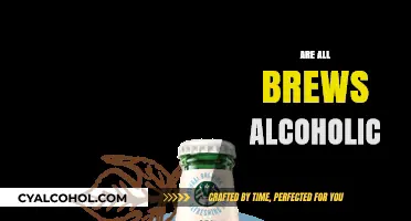 Are All Brews Alcoholic? Exploring Non-Alcoholic Beer Options