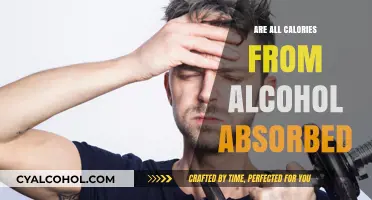 Are All Alcohol Calories Absorbed? Unraveling the Truth Behind the Buzz