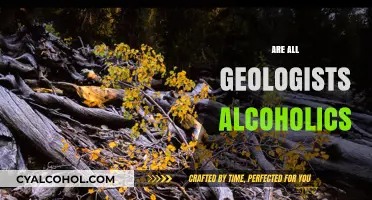 Are All Geologists Alcoholics? Debunking Stereotypes and Exploring Truths
