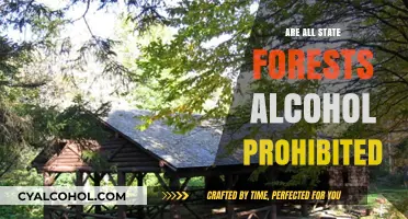 Alcohol Restrictions in State Forests: What You Need to Know