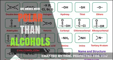 Amides vs. Alcohols: Comparing Polarity and Chemical Properties