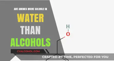 Amines vs. Alcohols: Water Solubility Comparison and Factors