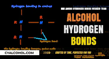 Amino vs Alcohol: The Battle of Hydrogen Bonds