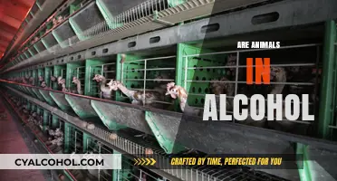 Unveiling the Truth: Animals in Alcohol Production Explained