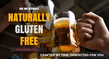 Naturally Gluten-Free Alcohols: What You Need to Know