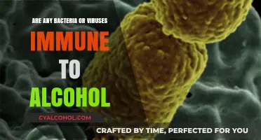 Alcohol's Limits: Which Bacteria and Viruses Resist Its Power?