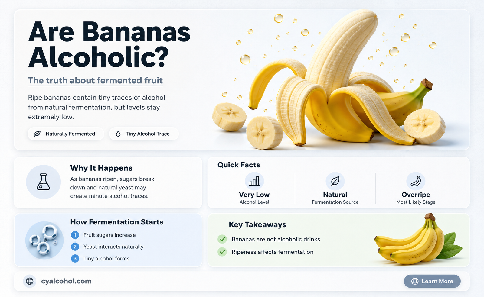 are bananas alcoholic