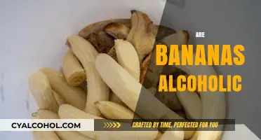 Are Bananas Alcoholic? Unraveling the Myth Behind Fermented Fruits