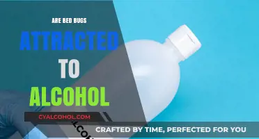 Do Bed Bugs Target Alcohol? Unraveling the Myth and Facts