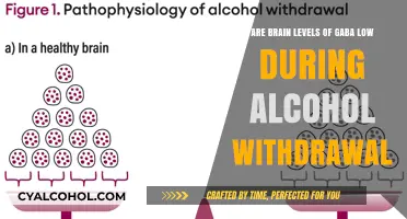 GABA and Alcohol Withdrawal: Brain Levels Explored