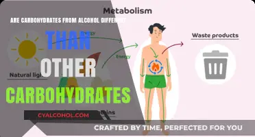 Alcohol Carbs vs. Regular Carbs: Are They Metabolized Differently?