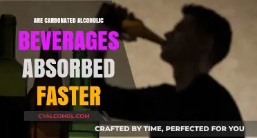 Do Carbonated Alcoholic Drinks Increase Absorption Speed? Facts Revealed