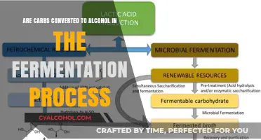 How Fermentation Transforms Carbohydrates into Alcohol