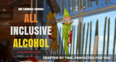 Carnival Cruises: Are Drinks Included in Your All-Inclusive Package?