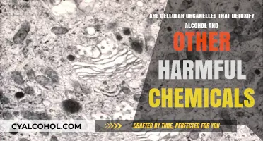 The Liver's Unsung Heroes: Detoxifying Cell Organelles