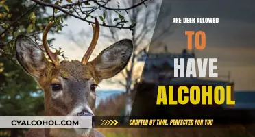 Can Deer Drink Alcohol? Exploring the Risks and Realities