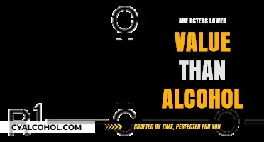 Esters vs. Alcohols: Comparing Their Value in Chemical Applications