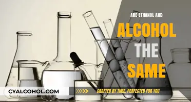 Ethanol vs. Alcohol: Understanding the Key Differences and Similarities