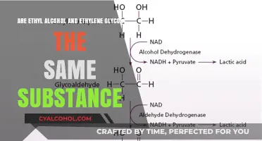 The Difference Between Ethyl Alcohol and Ethylene Glycol