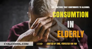 Alcohol Consumption in Elderly: Understanding the Factors