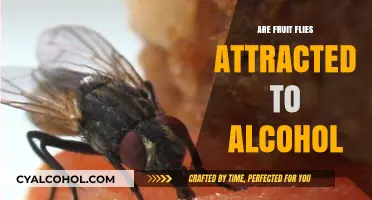 Why Fruit Flies Love Alcohol: Unraveling the Science Behind the Attraction
