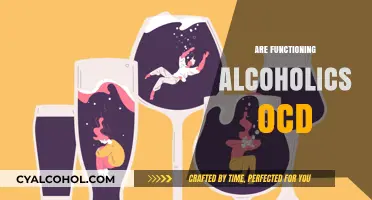 Functioning Alcoholics and OCD: Unraveling the Complex Connection