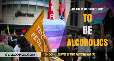 Exploring the Link Between LGBTQ+ Identity and Alcoholism Risks