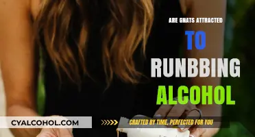 Do Gnats Like Rubbing Alcohol? Surprising Facts Revealed