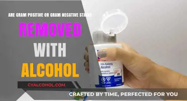 Alcohol's Effect on Gram Stains: What's the Outcome?