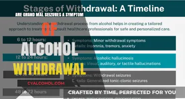 Alcohol Withdrawal: Grand Mal Seizures Explained