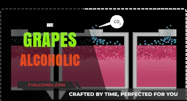 Are Grapes Alcoholic? Unraveling the Fermentation Myth in Fruits