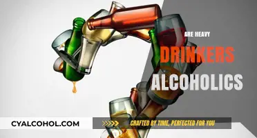 Heavy Drinking vs. Alcoholism: Understanding the Critical Differences